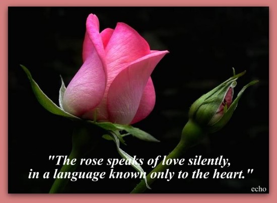 Images Of Flowers With Quotes