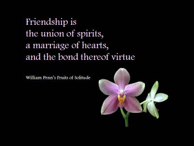 Images Of Friendship And Love Quotes