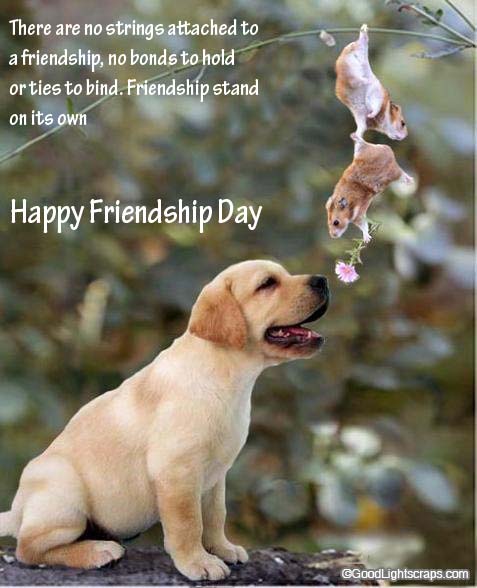 Images Of Friendship Day