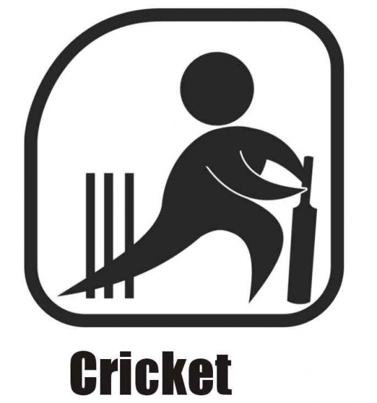 Indian Cricket Team Logo