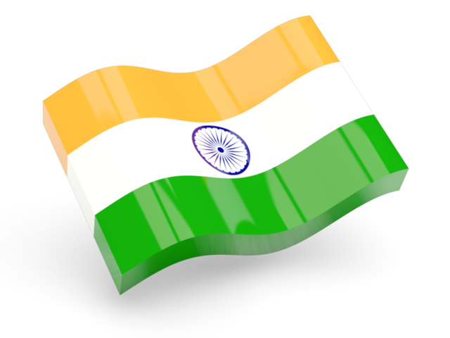 Indian Flag Logo Icon