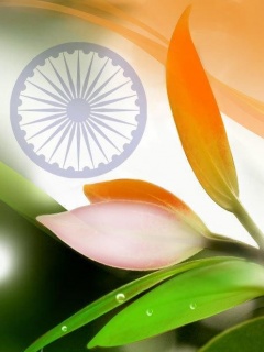 Indian Flag Mobile Wallpaper