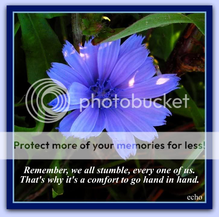 Inspirational Quotes With Pictures Of Flowers