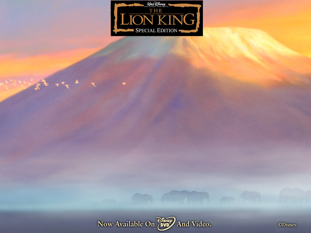 Lion King Wallpaper Hd