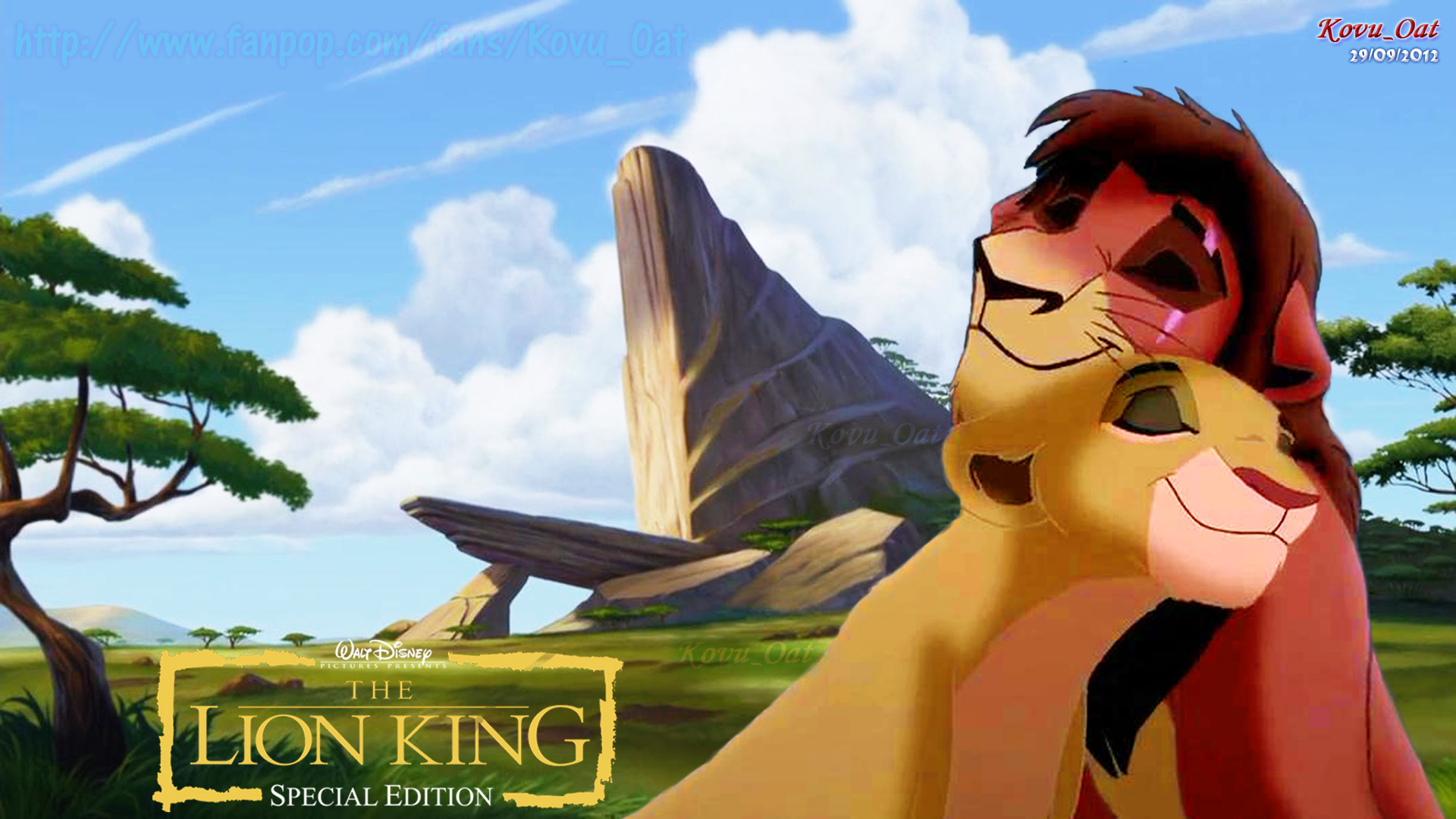 Lion King Wallpaper Hd