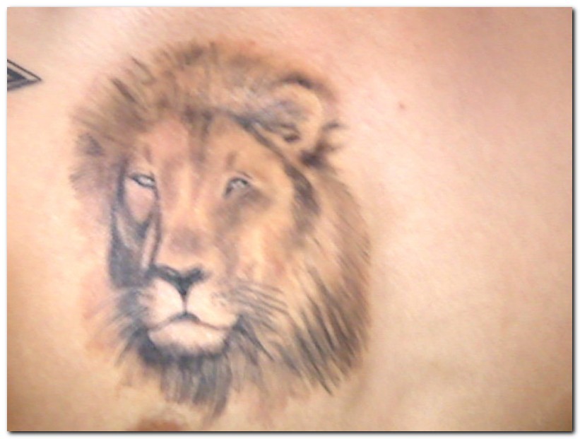 Lion Tattoo Designs For Girls