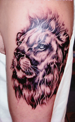 Lion Tattoo Designs For Men