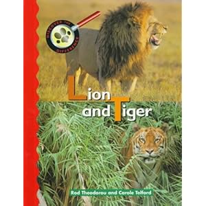 Lion Vs Tiger Video Free Download