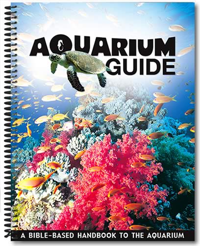 Lionfish Aquarium Guide