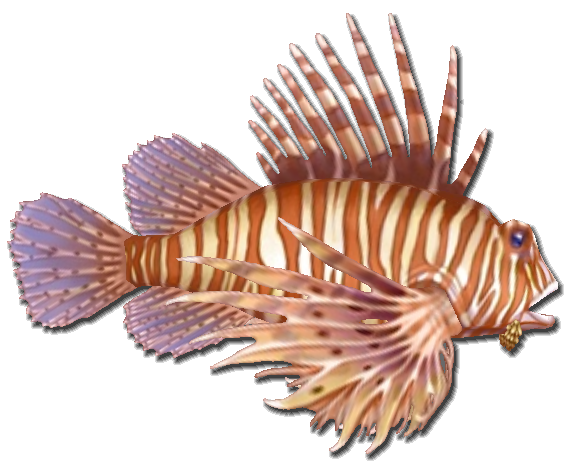 Lionfish Stingers