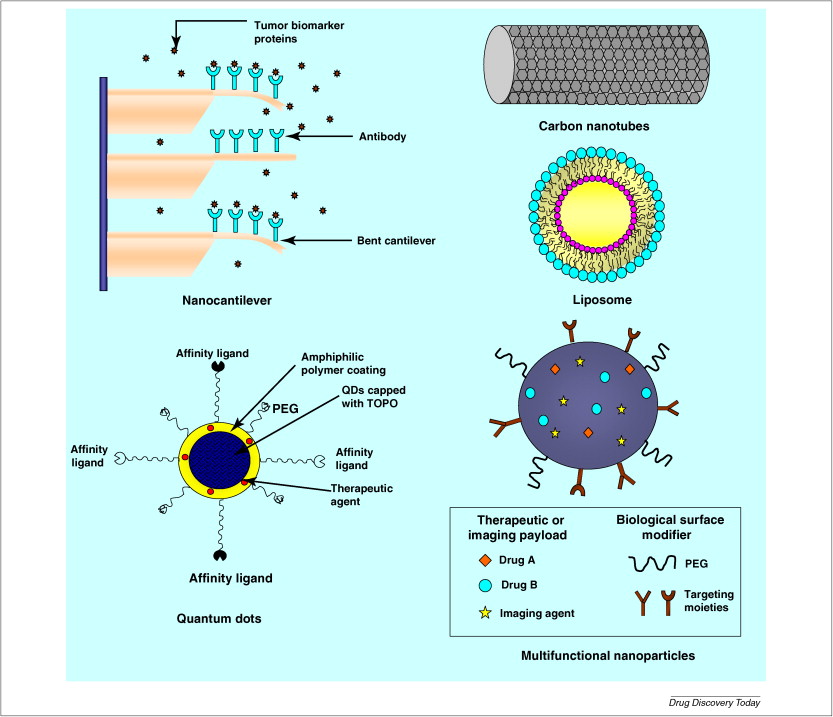 Nanotechnology In Cancer Treatment Powerpoint Presentation