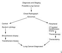 Non Small Cell Lung Cancer Signs And Symptoms