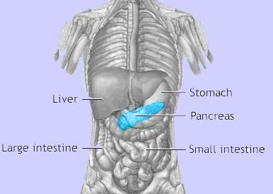 Pancreatic Cancer Symptoms Causes