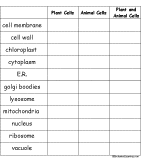 Plant And Animal Cells Diagram Worksheet