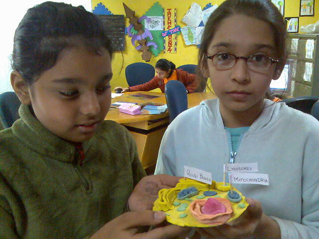 Plant Cells For Kids Science
