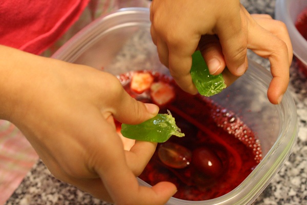 Plant Cells Videos For Kids