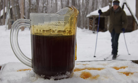Quebec Maple Syrup