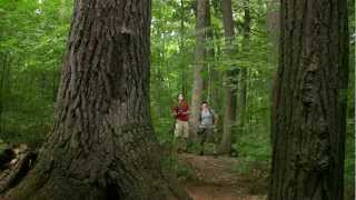 Queen Elizabeth Ii Wildlands Provincial Park