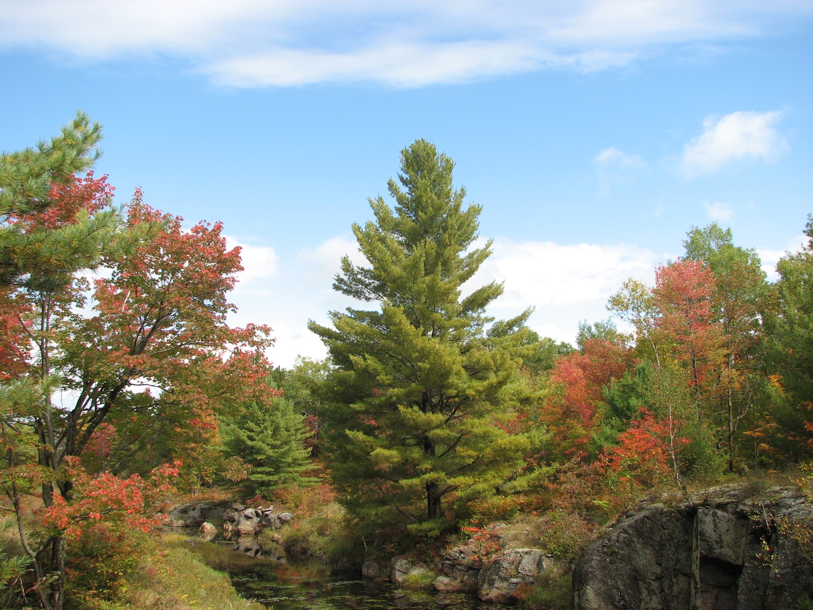 Queen Elizabeth Ii Wildlands Provincial Park