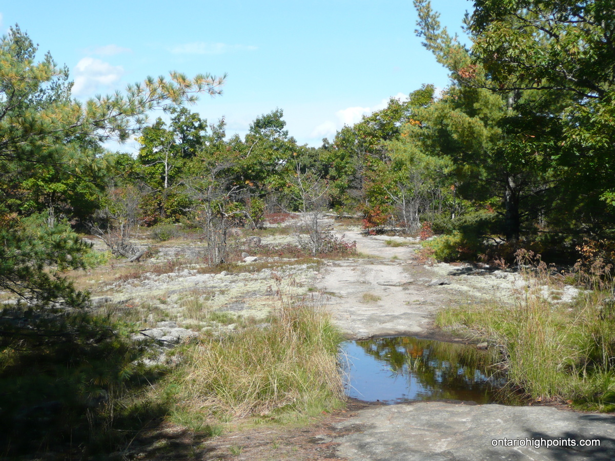 Queen Elizabeth Ii Wildlands Provincial Park