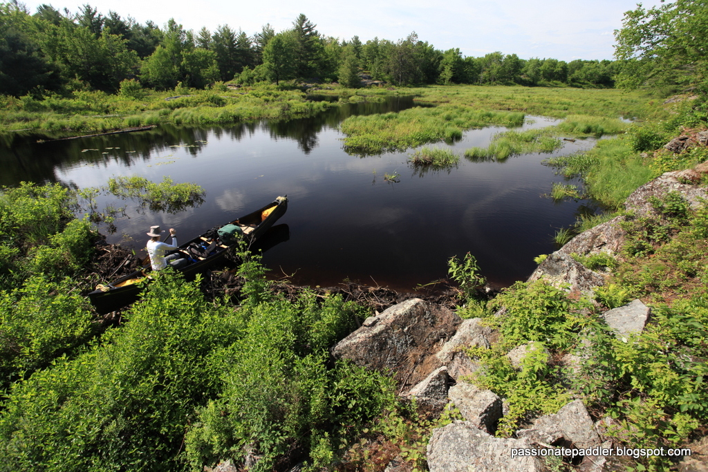 Queen Elizabeth Ii Wildlands Provincial Park