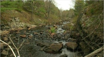 Queen Elizabeth Ii Wildlands Provincial Park