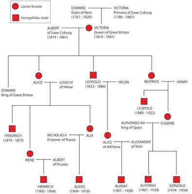 Queen Victoria Family Tree Haemophilia