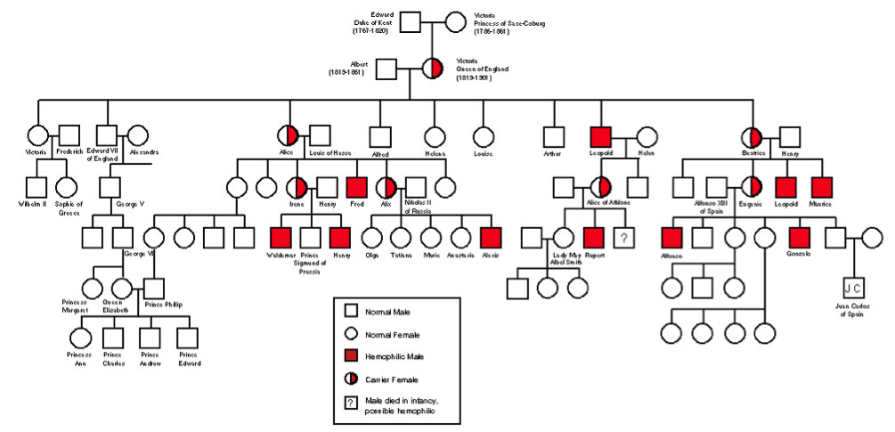 Queen Victoria Family Tree Haemophilia