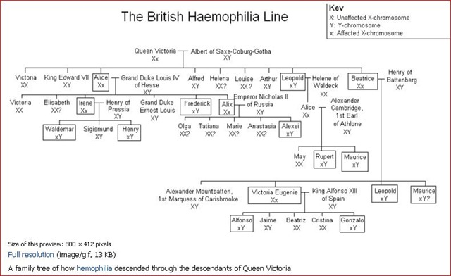 Queen Victoria Family Tree To Present