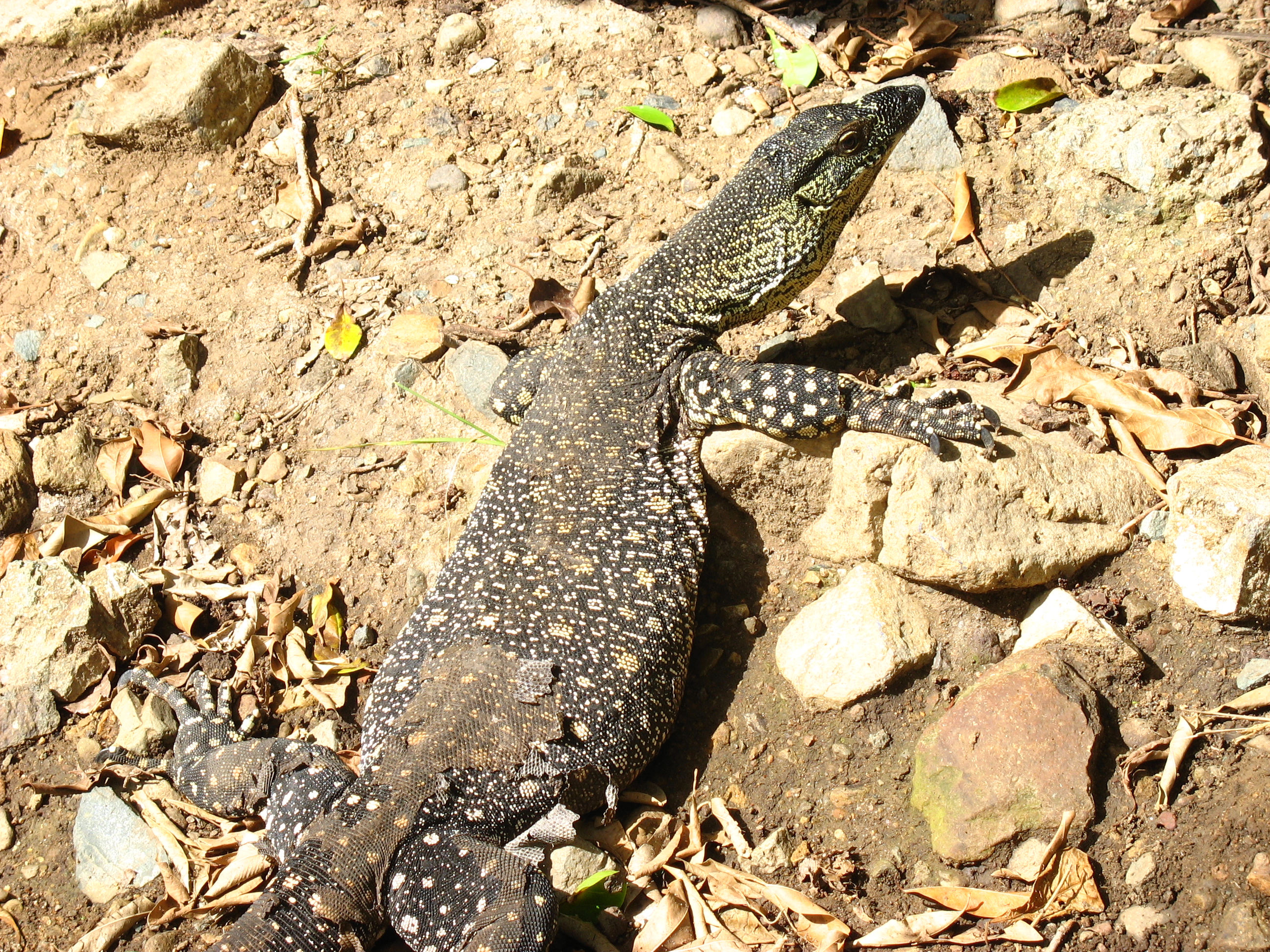 Queensland Australia Beach