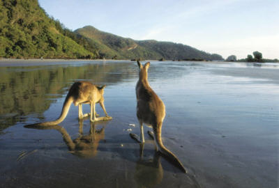 Queensland Australia Beach