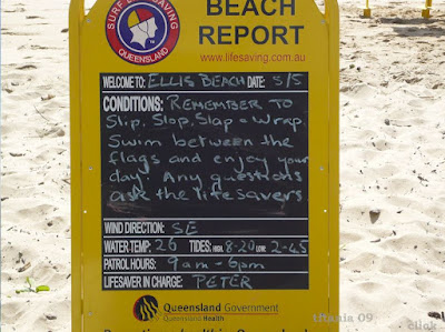 Queensland Beaches Stingers
