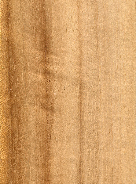 Queensland Maple Veneer