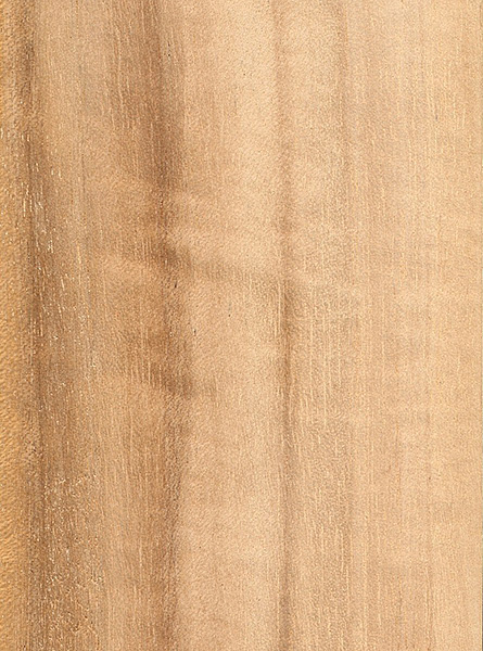 Queensland Maple Veneer