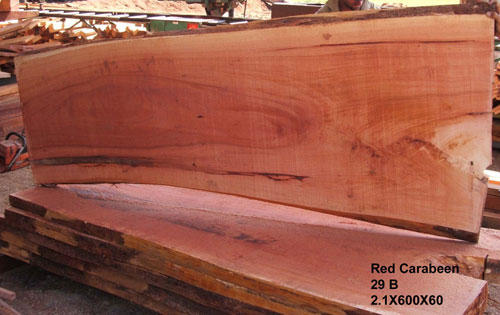 Queensland Maple Wood