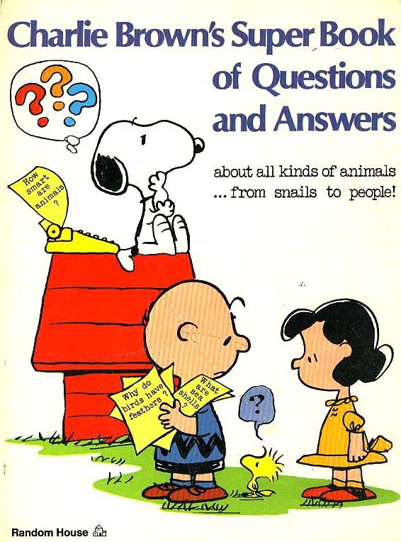 Questions And Answers Cartoons