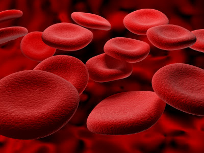 Red Blood Cells Diagram For Kids