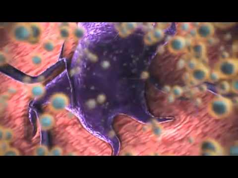Role Of Nanotechnology In Cancer Treatment