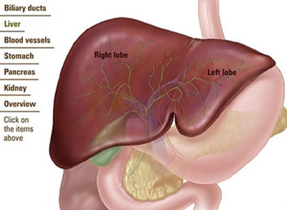 Skin Cancer Symptoms Itching