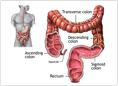 Stomach Cancer Symptoms Pain