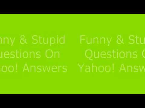 Stupid Questions And Answers Funny
