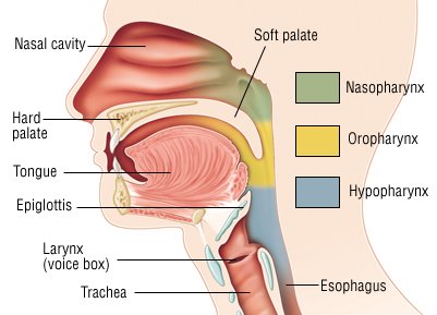 Throat Cancer Symptoms Early