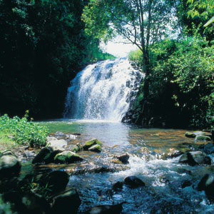 Tropical North Queensland Beaches