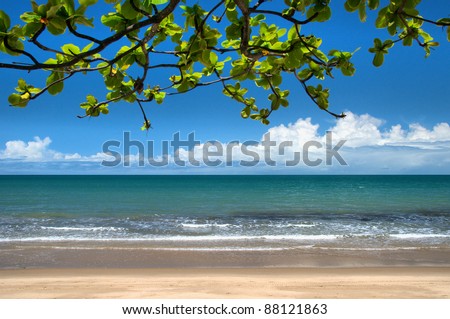 Tropical North Queensland Beaches