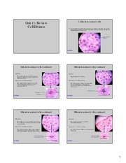 Tutorial Cells Biology 1406
