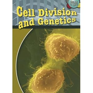 Video On Cell Division For Kids