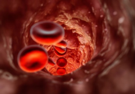 What Are Red Blood Cells For Kids