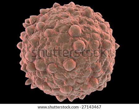 White Blood Cells Images Free