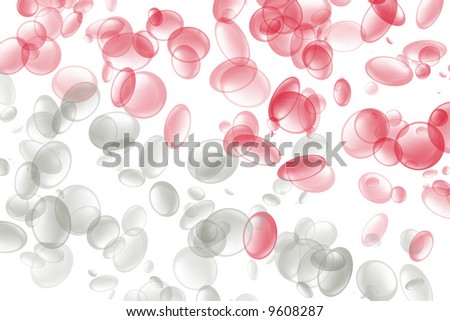 White Blood Cells Images Free