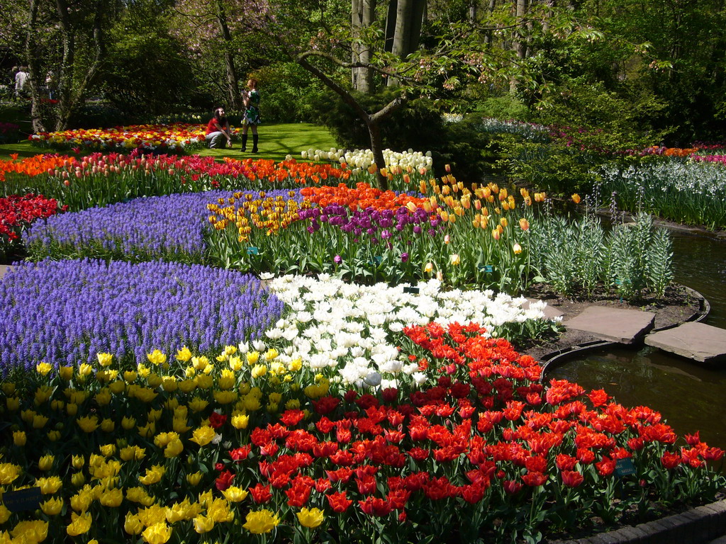 World Beautiful Flowers Garden